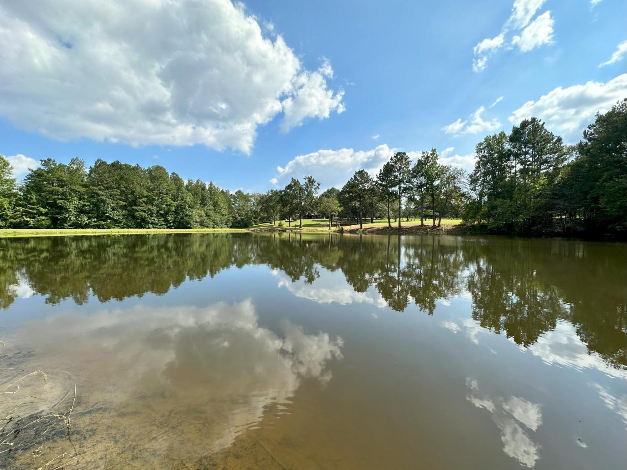 Refuge Ranch Retreat Log Cabin Lake 53+ Acres Locust Grove Exteriér fotografie